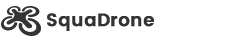 https://mrdroneswatini.com/wp-content/uploads/2018/01/logo-black-footer.png